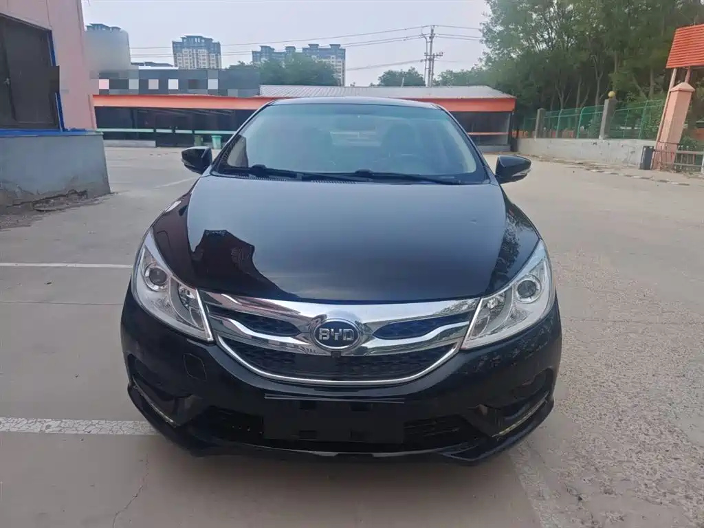 BYD OTHER 2016