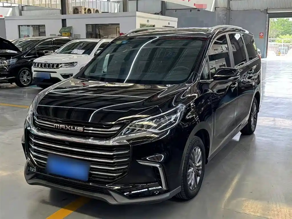 MAXUS OTHER 2019