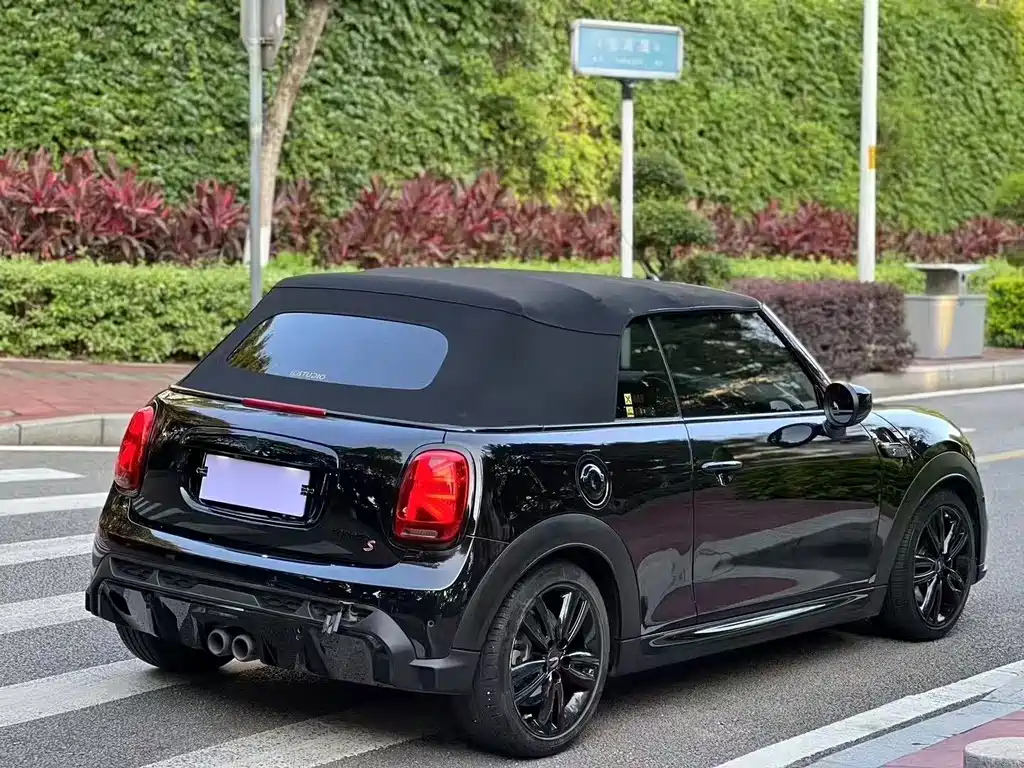 MINI OTHER 2022