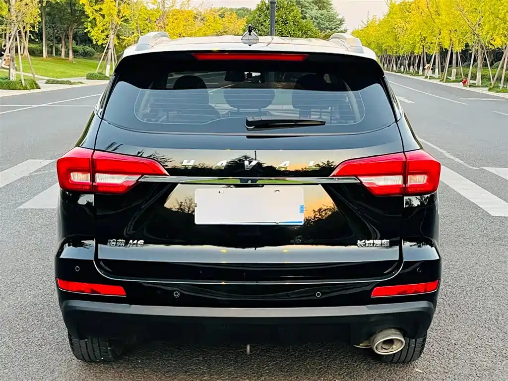 HAVAL M6 2020