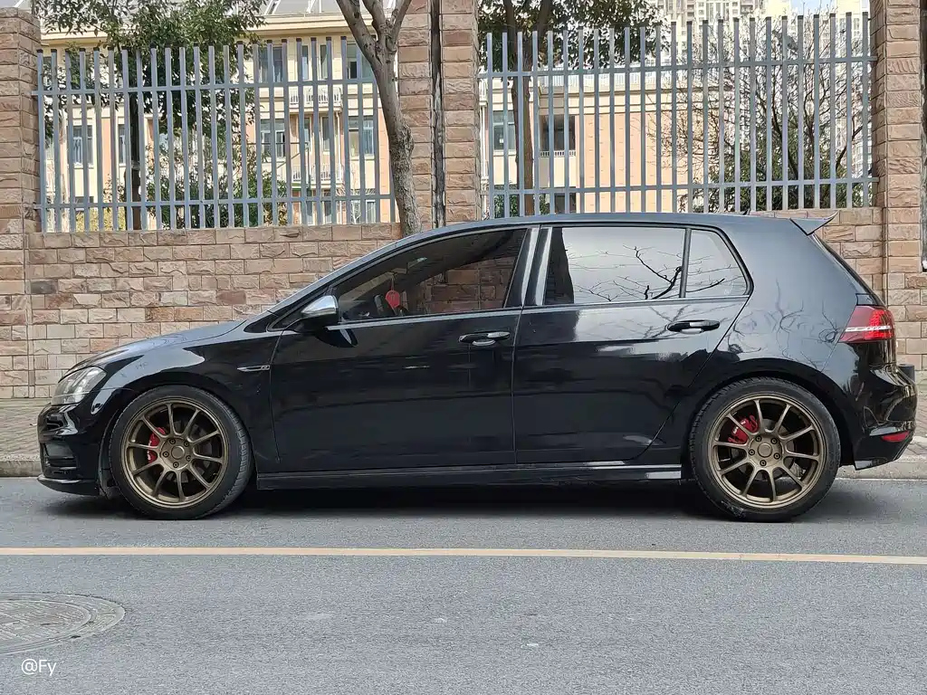 VOLKSWAGEN GOLF 2016