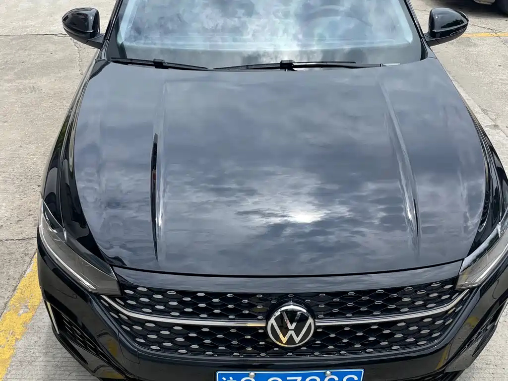 VOLKSWAGEN LAVIDA 2024