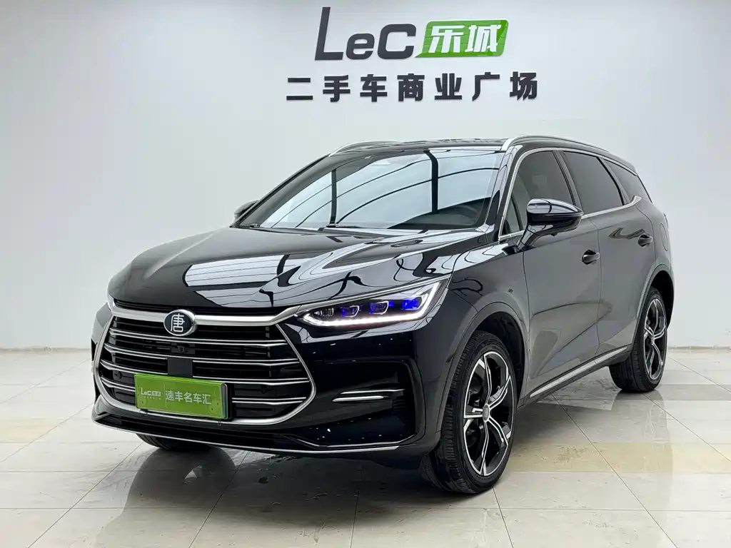 BYD TANG NEW ENERGY 2021