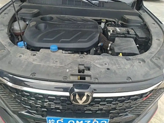 catalog-car-20