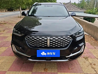 WEY VV6 2021