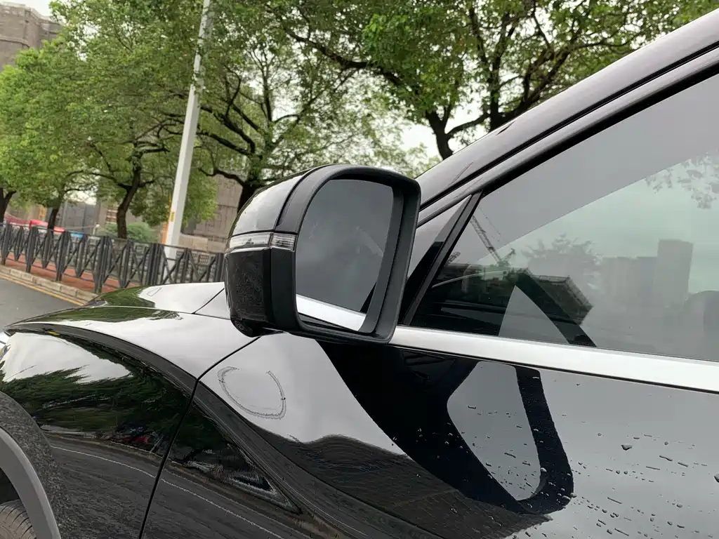 BYD SONG PRO NEW ENERGY 2024