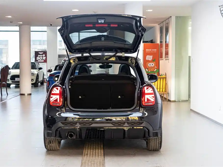 MINI OTHER 2022