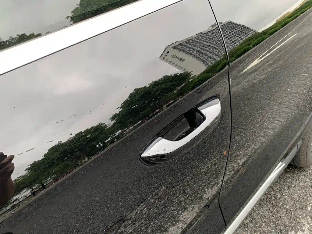 BYD SONG PRO NEW ENERGY 2024