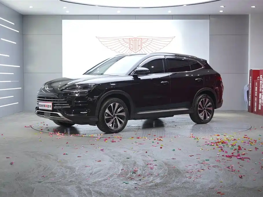 BYD SONG PLUS NEW ENERGY 2024