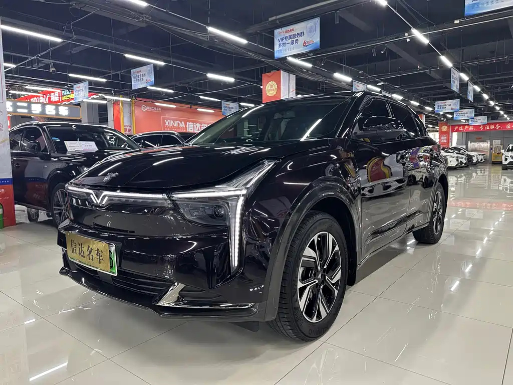 Аукционный лист NETA AUTO U 2022