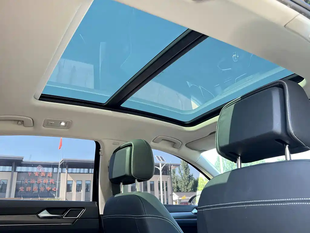 VOLKSWAGEN MAGOTAN 2020