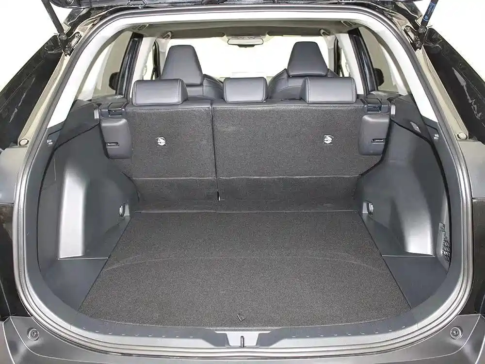 TOYOTA WILDLANDER 2020