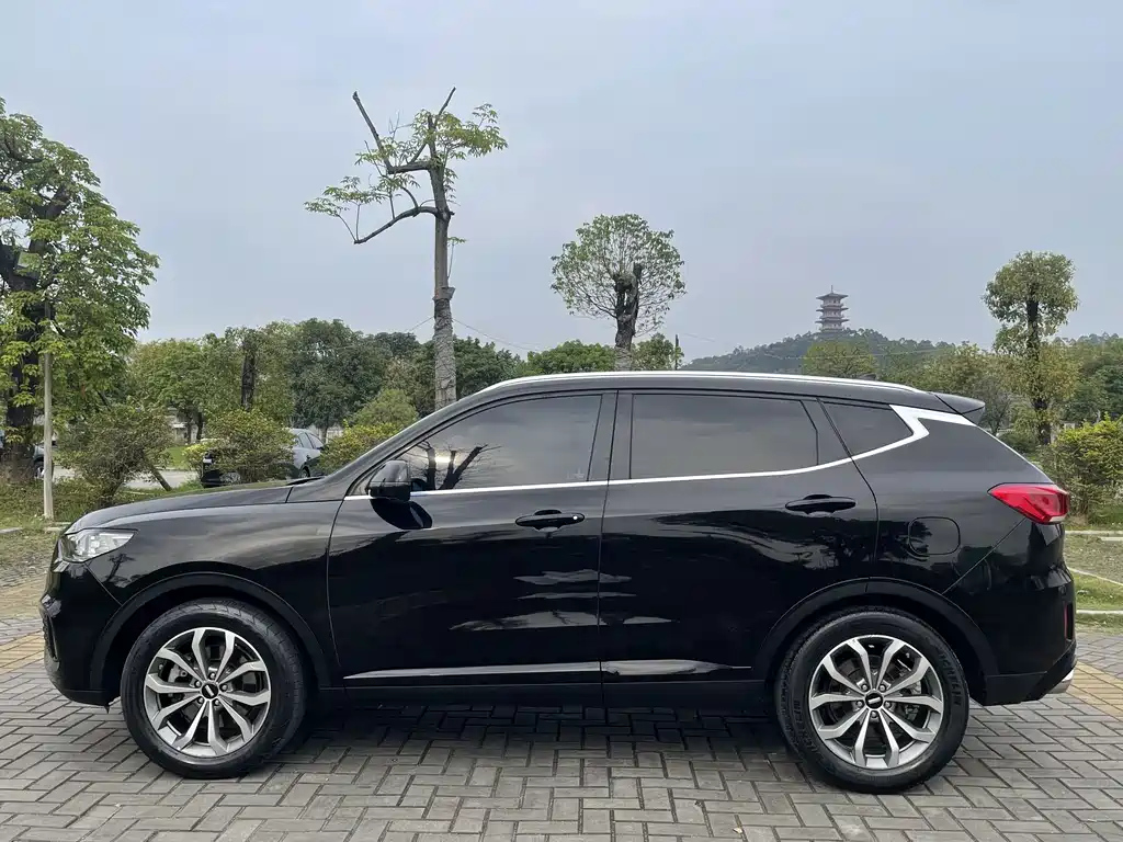WEY VV6 2019