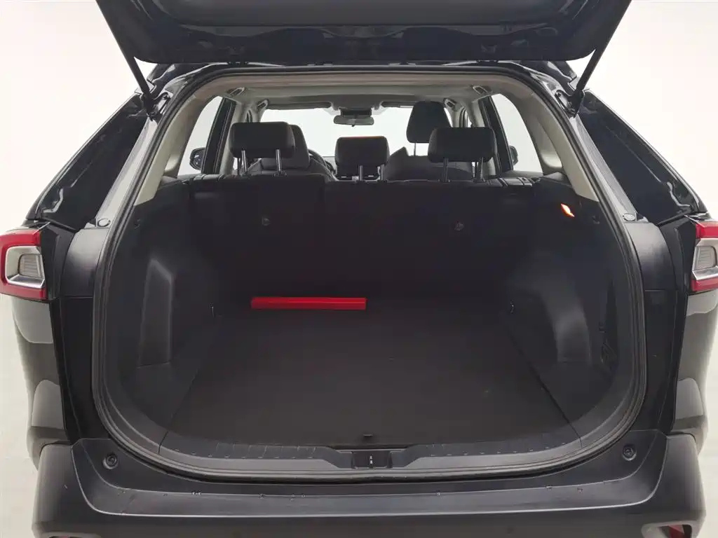TOYOTA WILDLANDER 2022