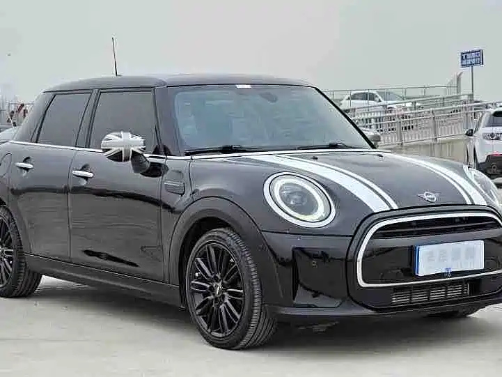 MINI OTHER 2021
