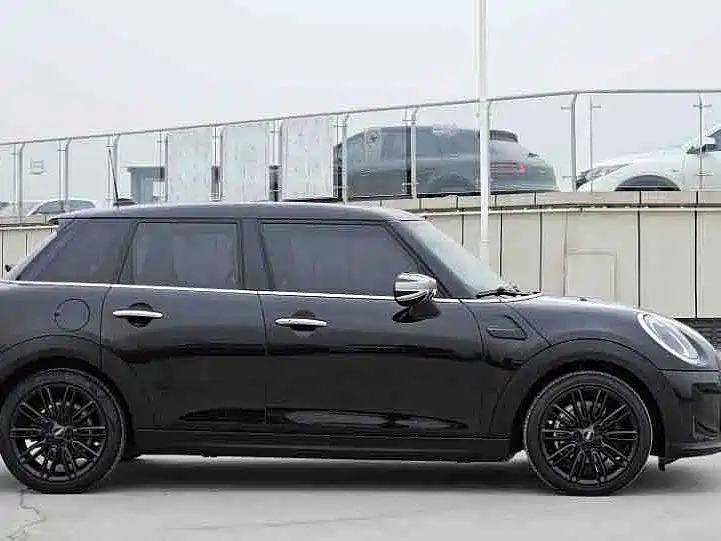 MINI OTHER 2021