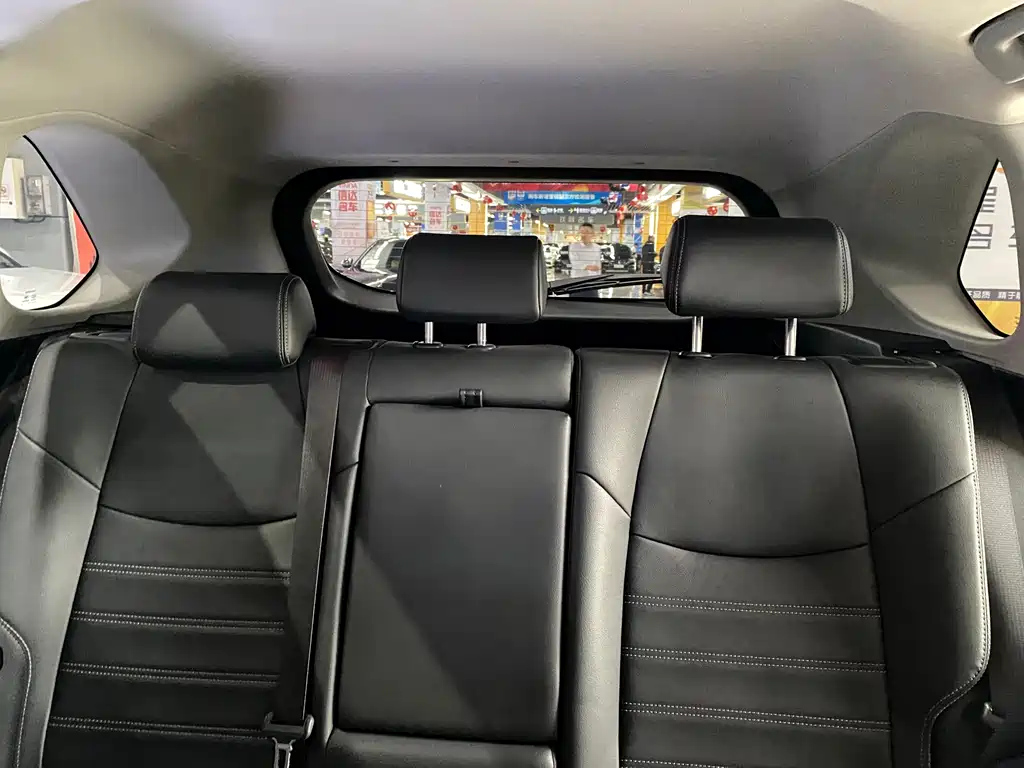 TOYOTA WILDLANDER 2021