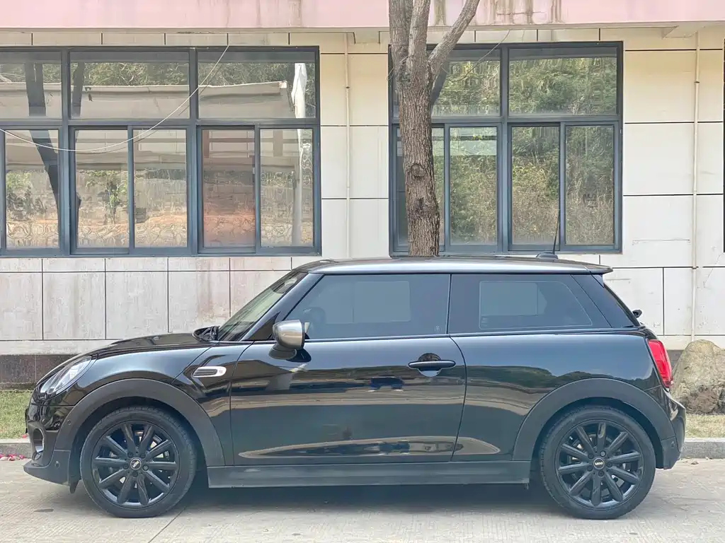 MINI OTHER 2021
