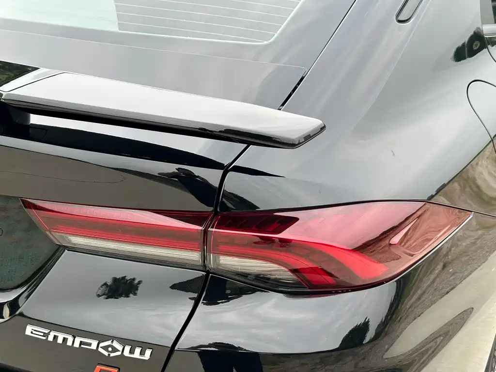 TRUMPCHI EMPOW 2024