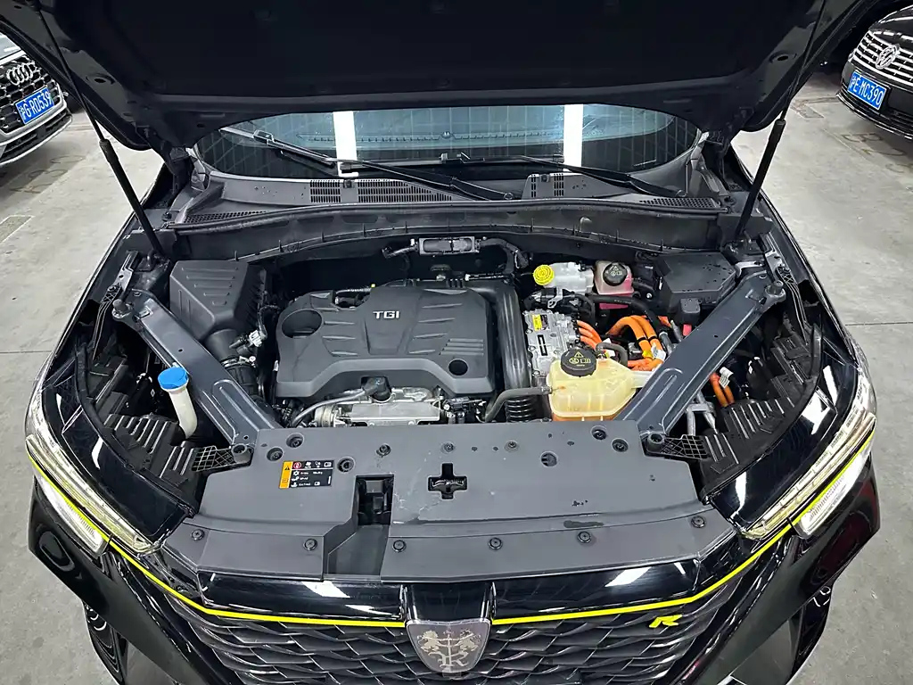 ROEWE RX5 NEW ENERGY 2020