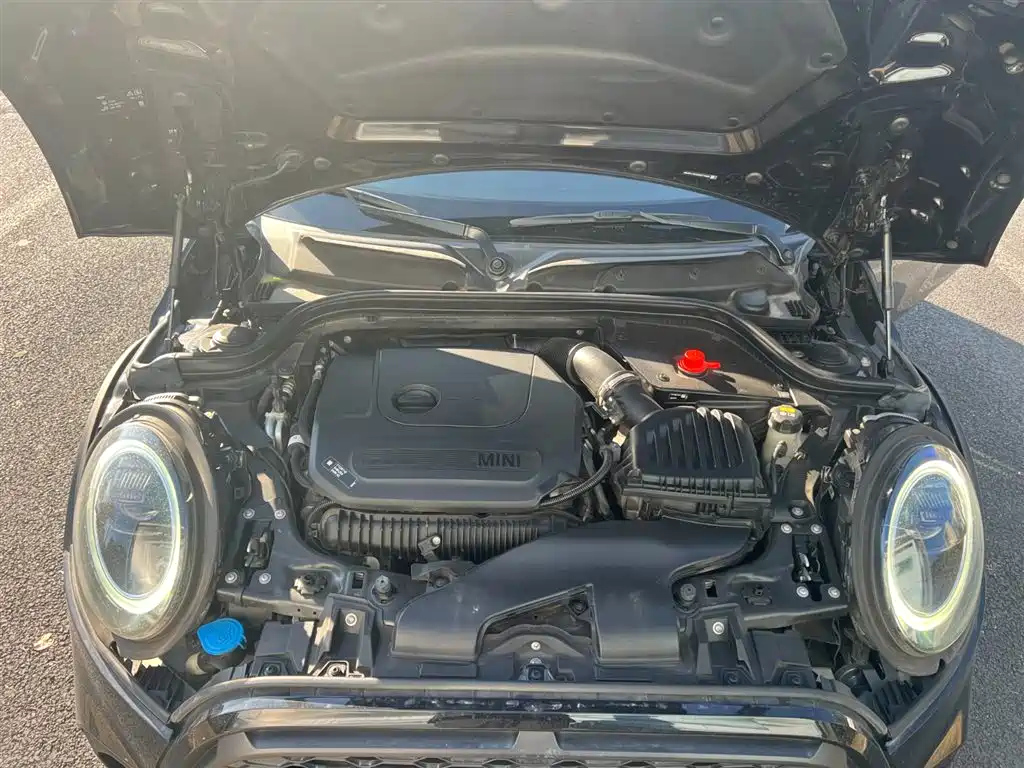 MINI OTHER 2021