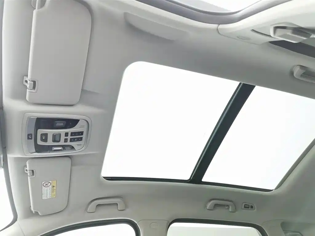 WEY VV6 2019