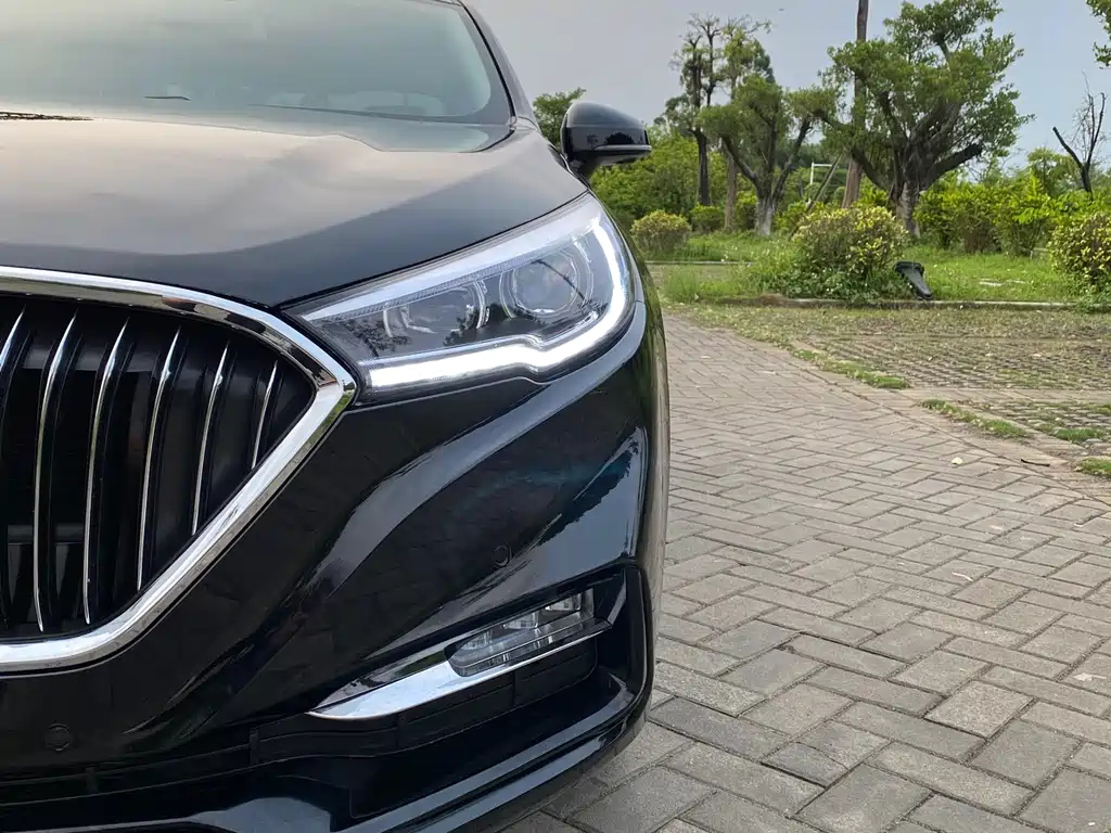 HONGQI H5 2021