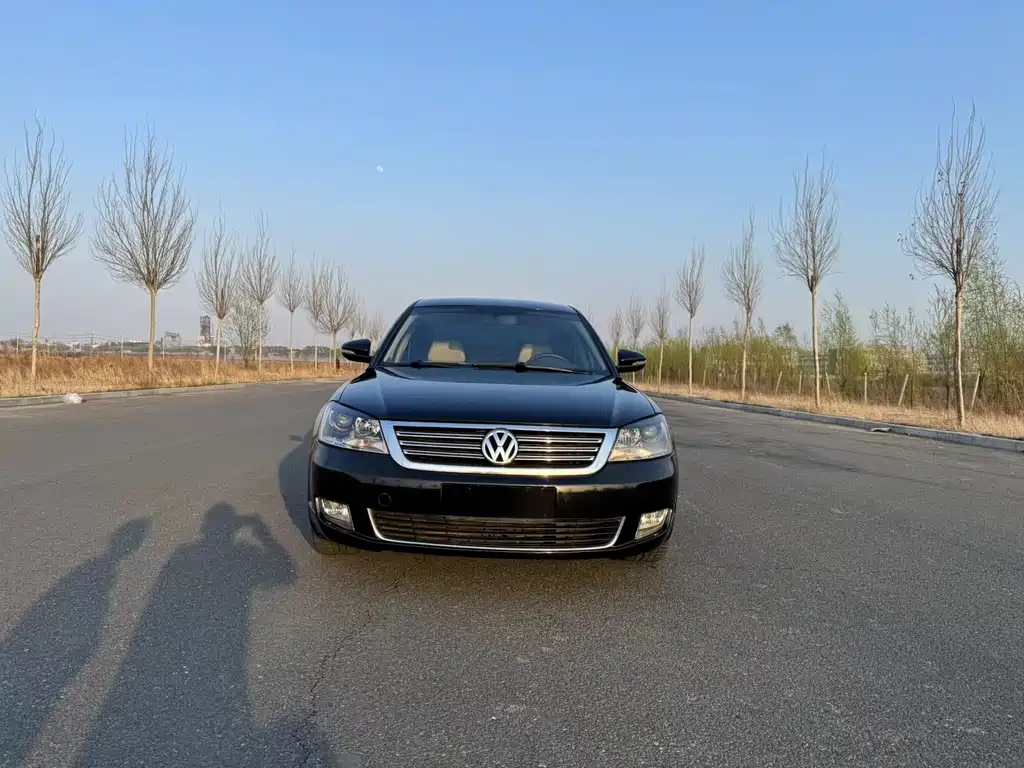 VOLKSWAGEN OTHER 2010