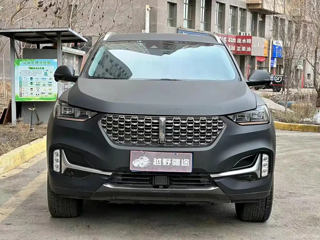 WEY VV6 2021