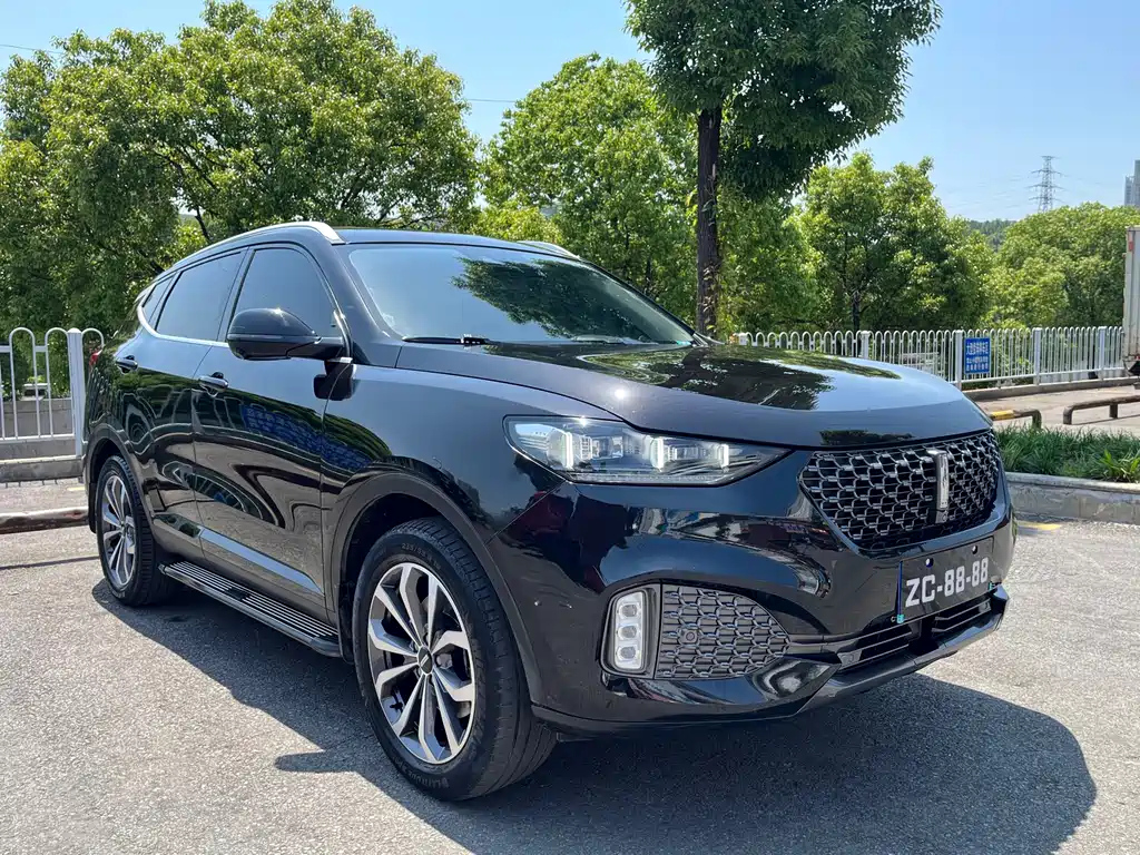 WEY VV6 2020