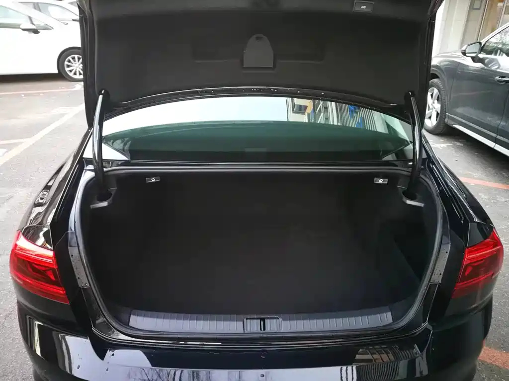VOLKSWAGEN MAGOTAN 2021