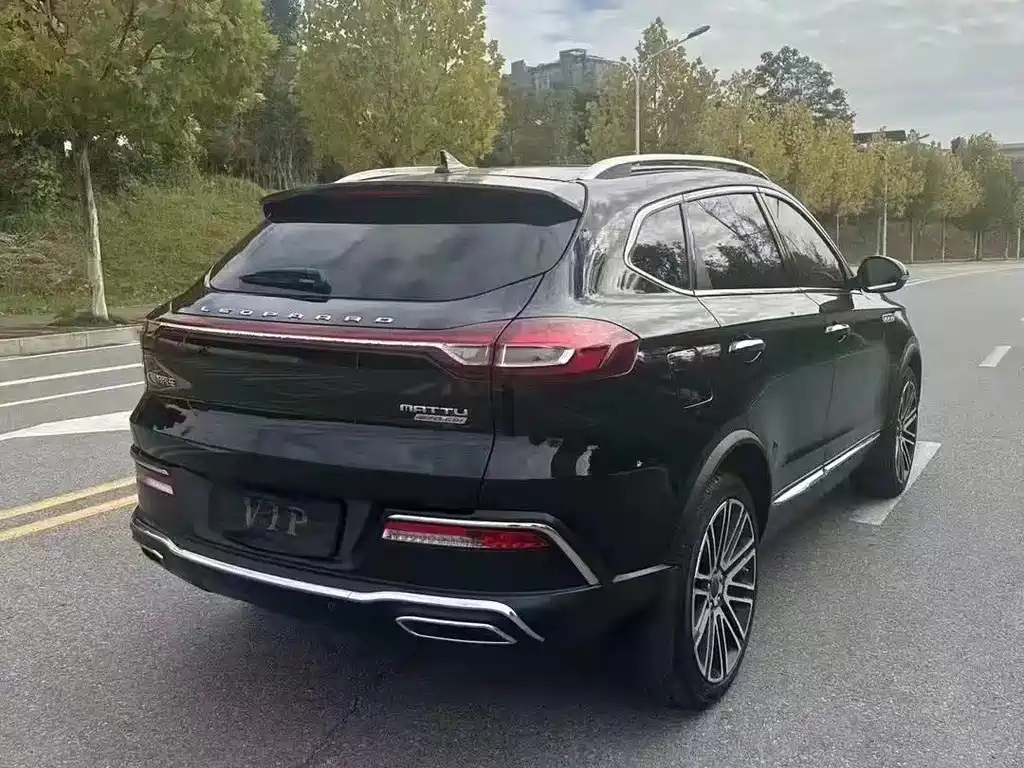 LEOPAARD MATTU 2019