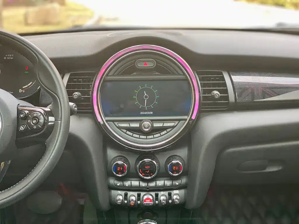 MINI OTHER 2021