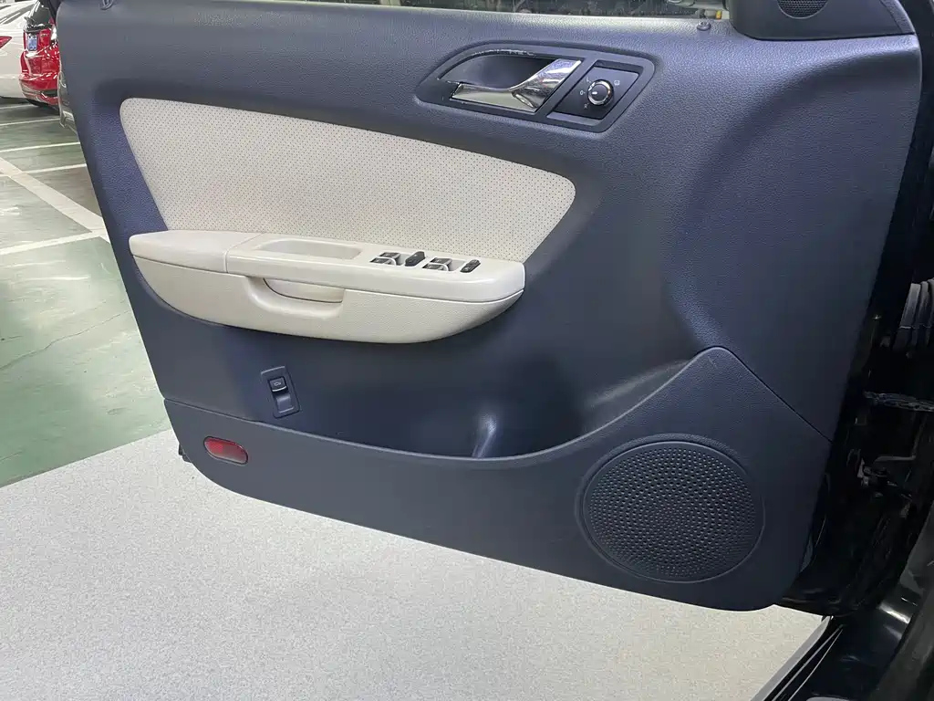 VOLKSWAGEN LAVIDA 2010