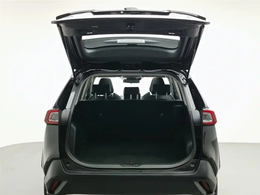 TOYOTA WILDLANDER 2021