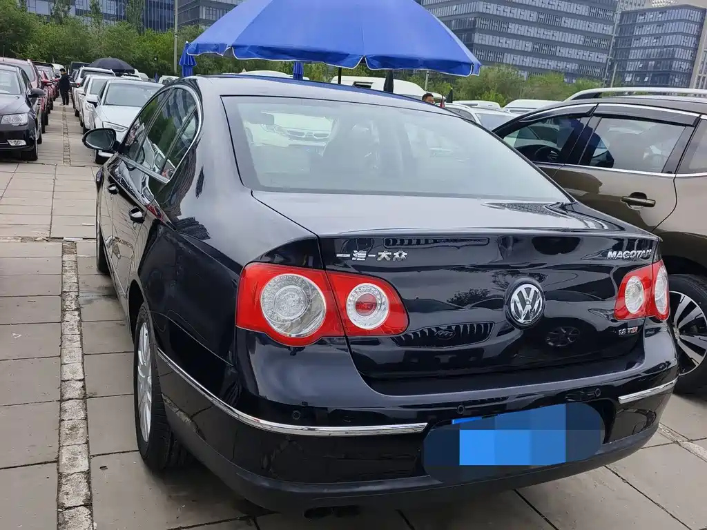 VOLKSWAGEN MAGOTAN 2010