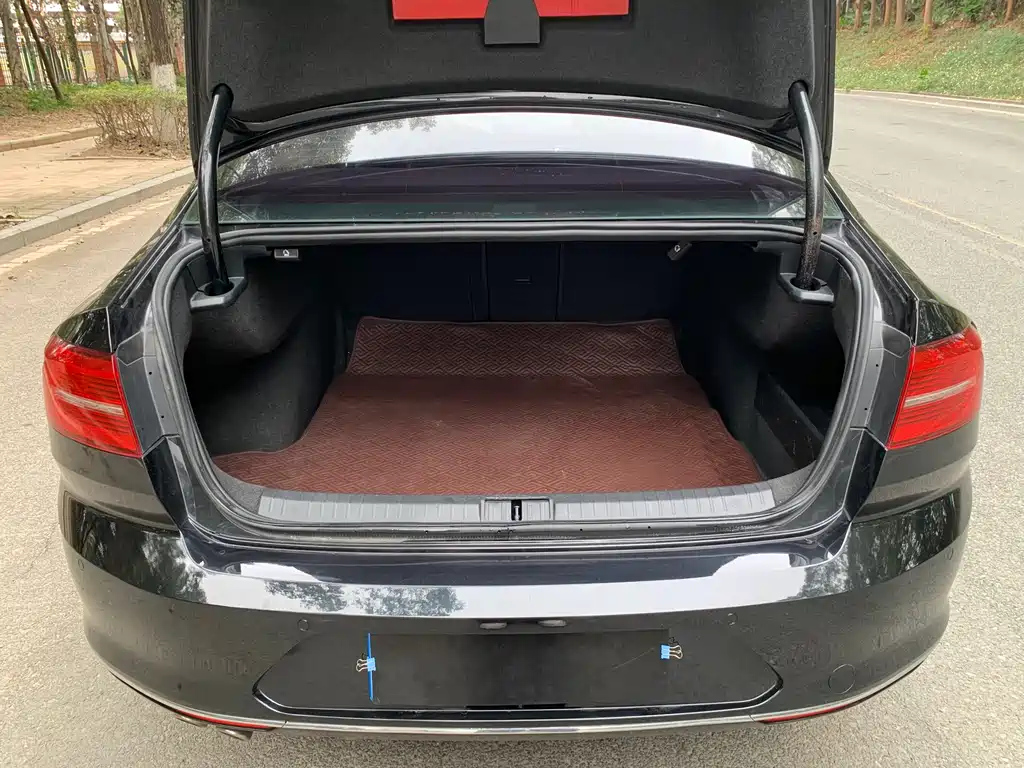 VOLKSWAGEN MAGOTAN 2019