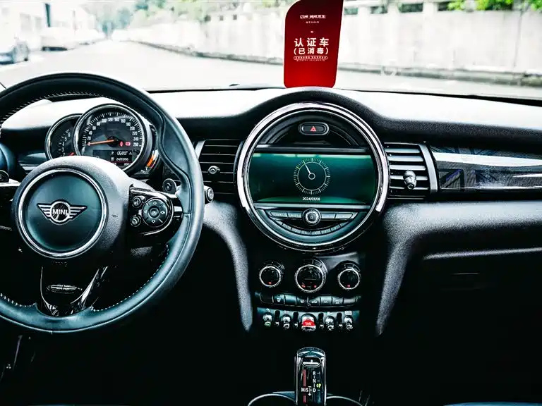 MINI OTHER 2019