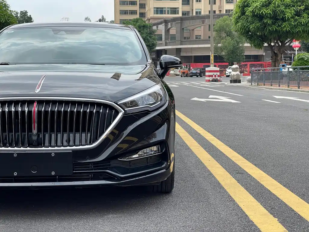 HONGQI H5 2021