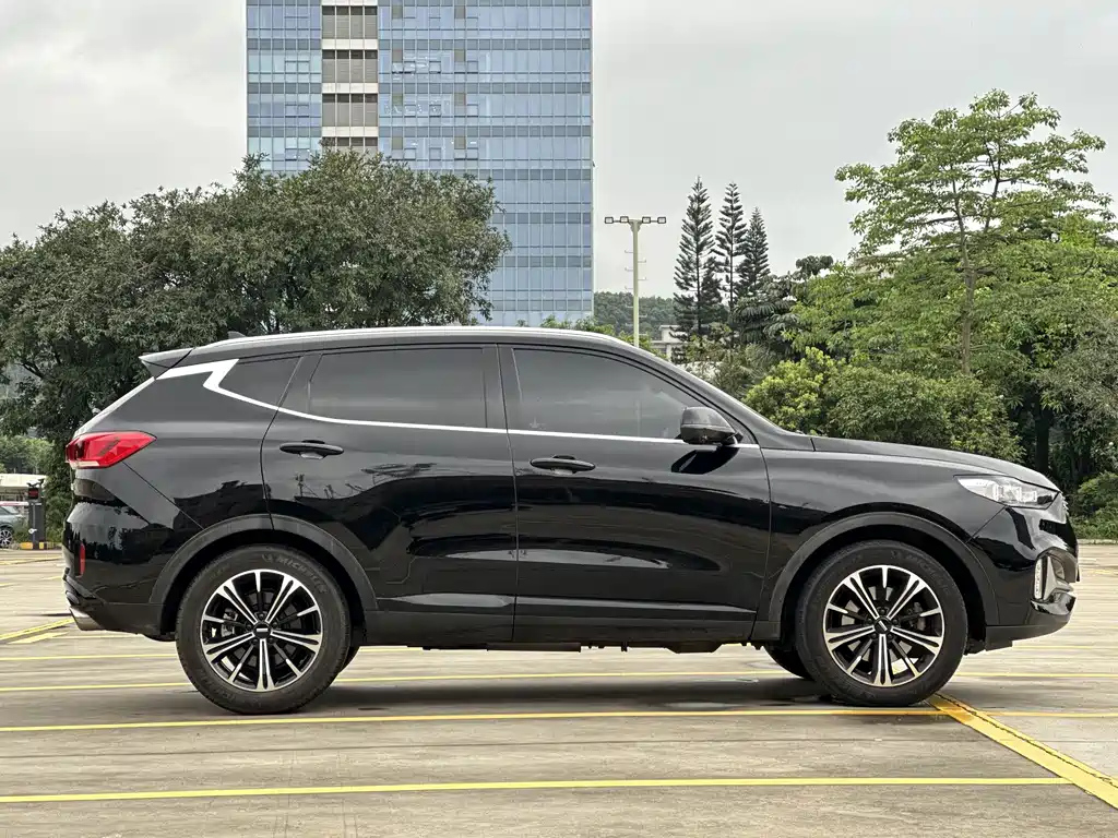 WEY VV6 2020