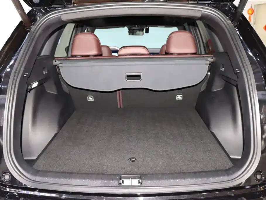GEELY AUTO MONJARO 2021