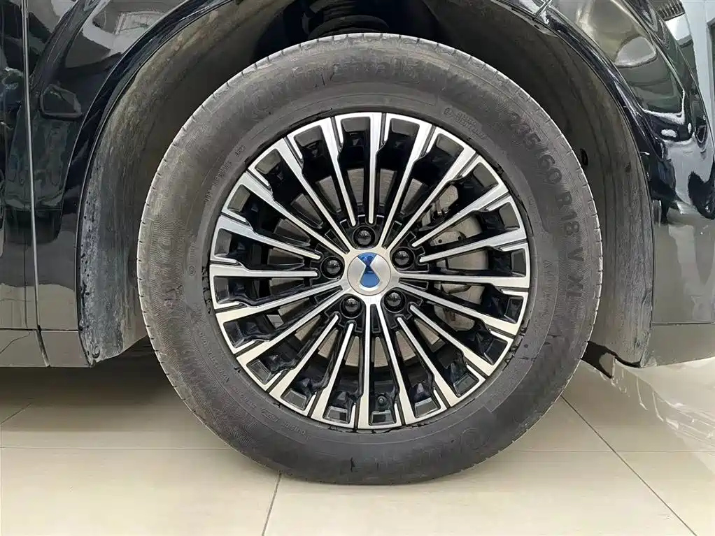 DENZA D9 2023