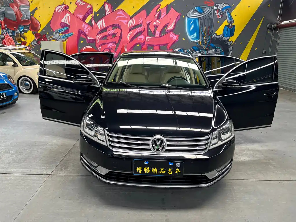 VOLKSWAGEN MAGOTAN 2013