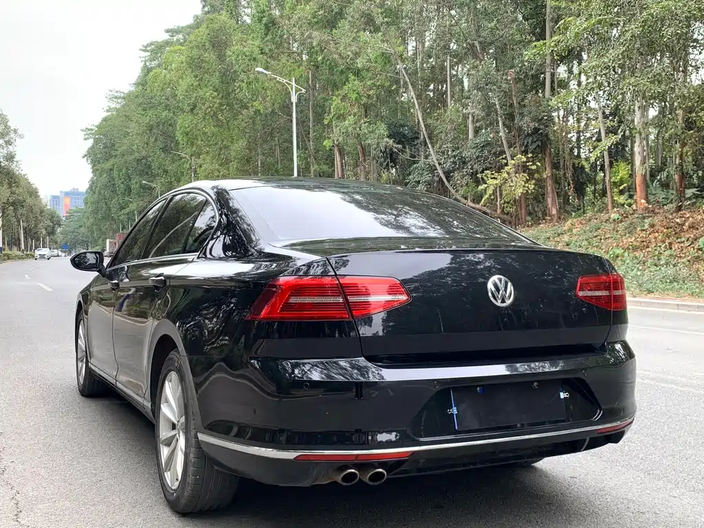 VOLKSWAGEN MAGOTAN 2019