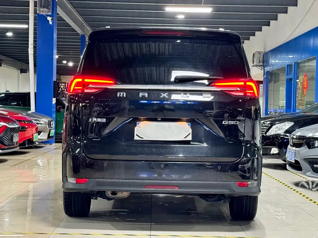 MAXUS OTHER 2020