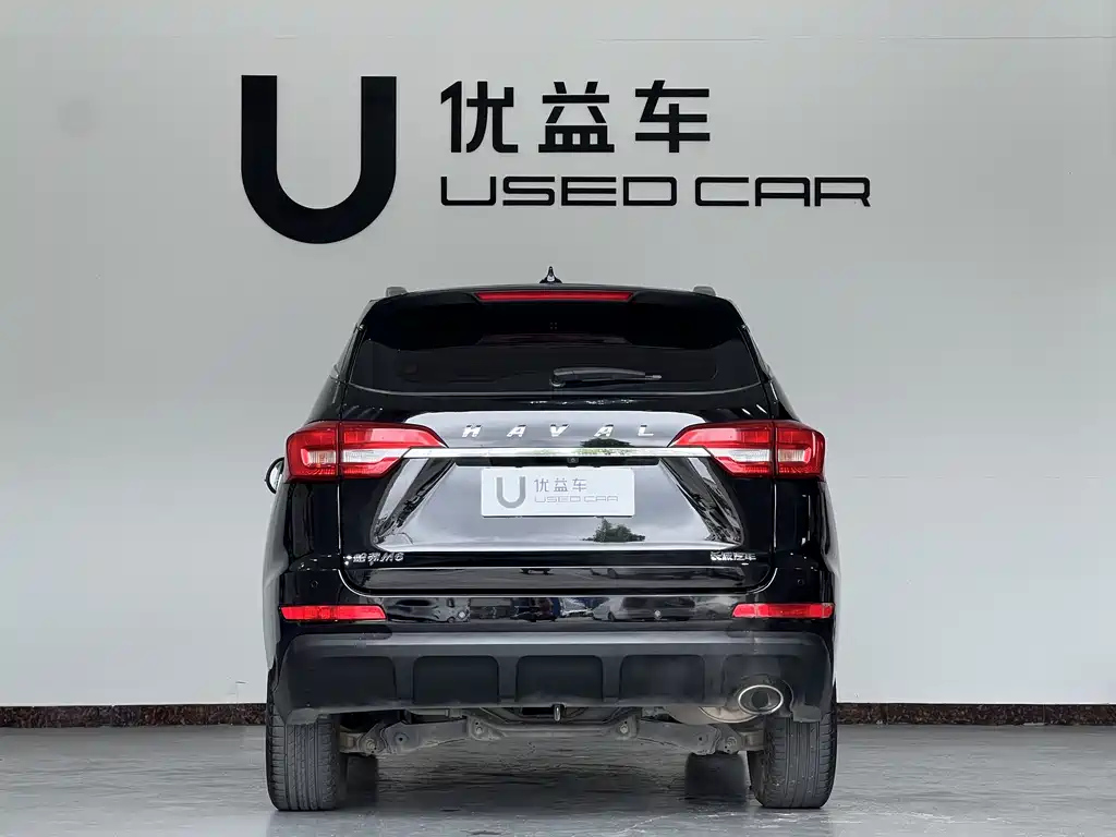 HAVAL M6 2019
