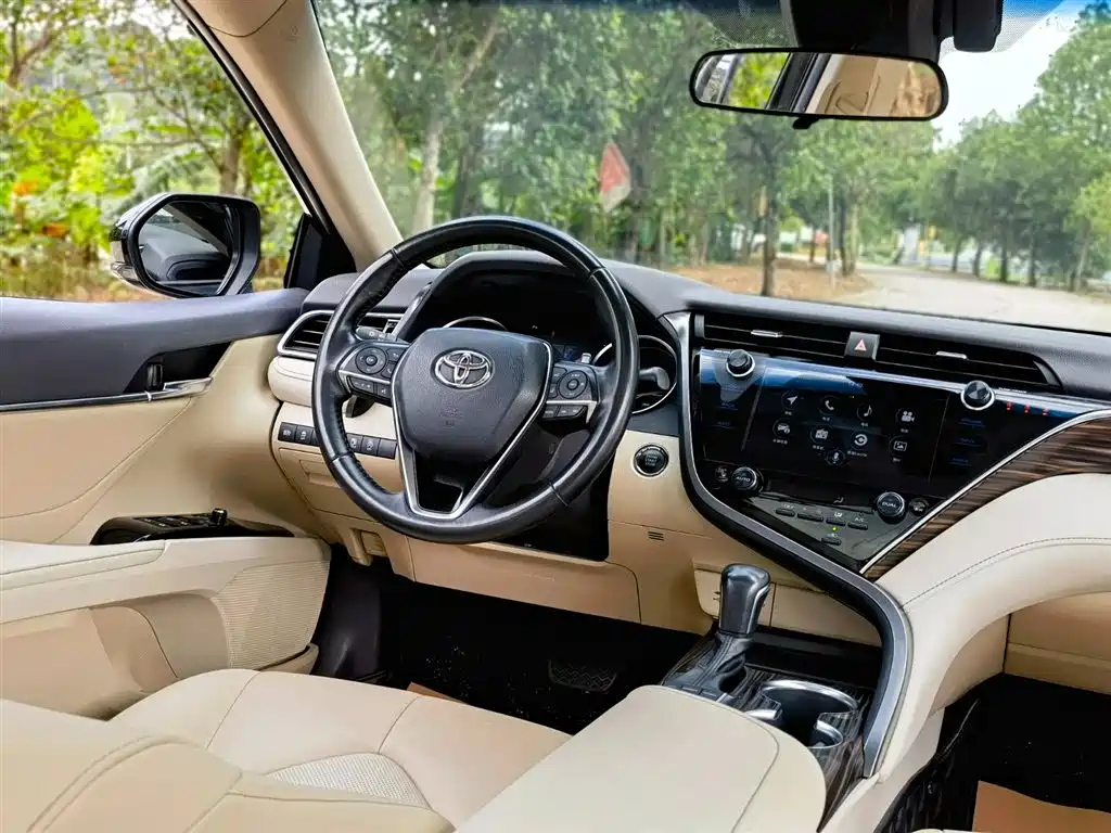 TOYOTA CAMRY 2019