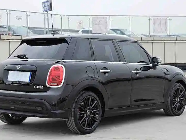 MINI OTHER 2021