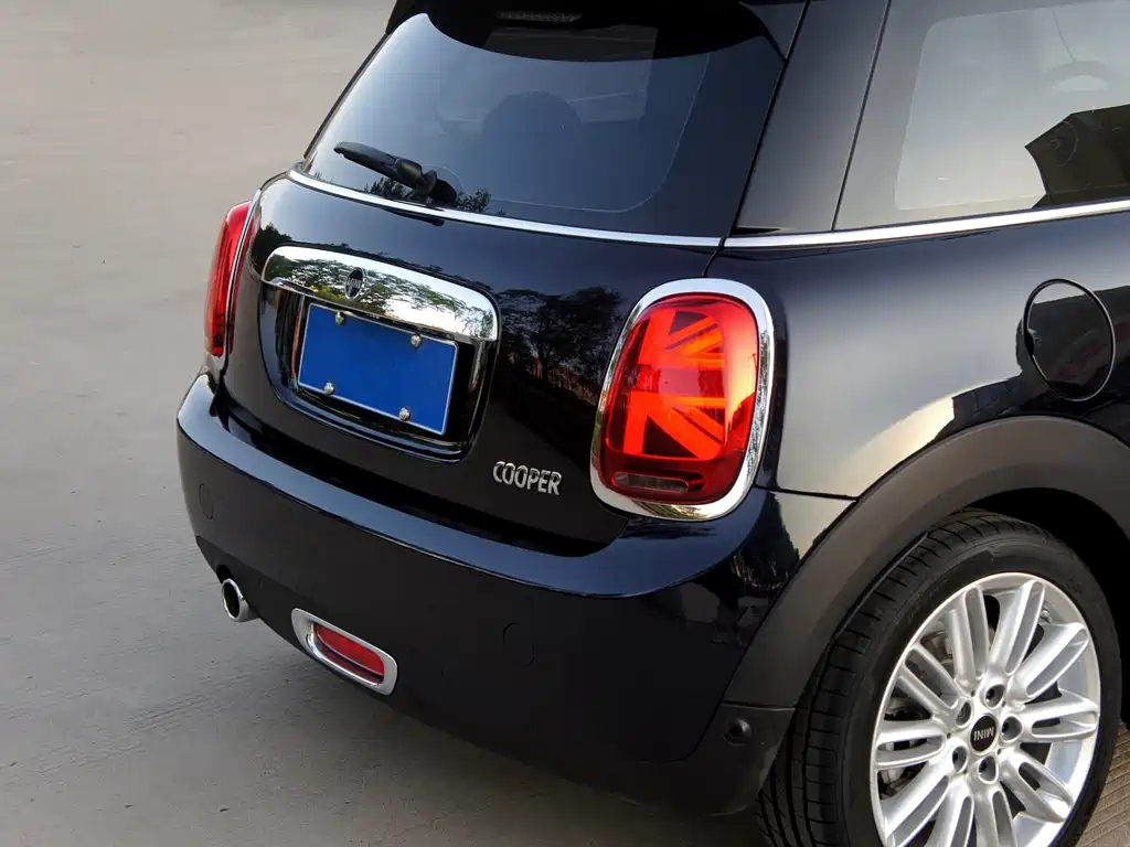 MINI OTHER 2020