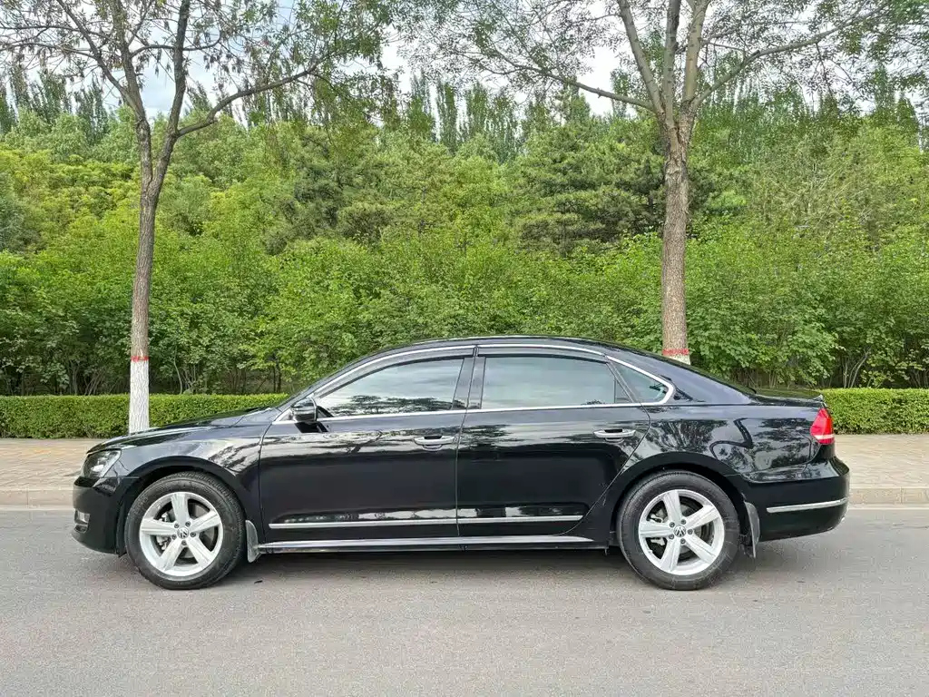 VOLKSWAGEN PASSAT 2010